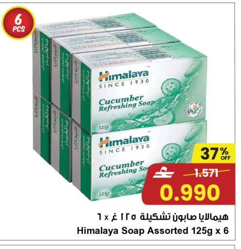 Cucumber available at Sultan Center  in Oman - Muscat