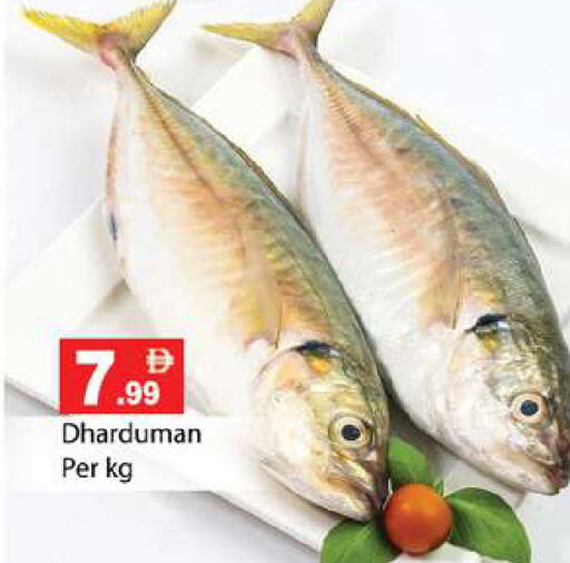 available at Gulf Hypermarket LLC in UAE - Ras al Khaimah