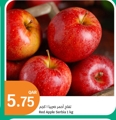 Apple from Serbia available at سيتي هايبرماركت in قطر - الشمال