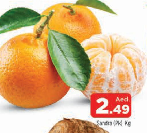 available at المدينة in الإمارات العربية المتحدة , الامارات - الشارقة / عجمان