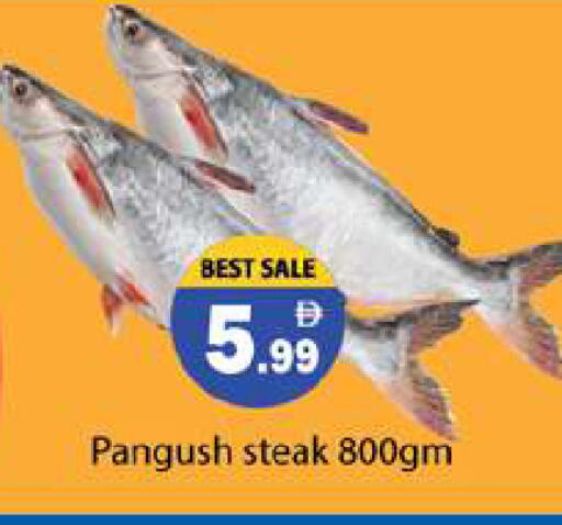 available at Gulf Hypermarket LLC in UAE - Ras al Khaimah