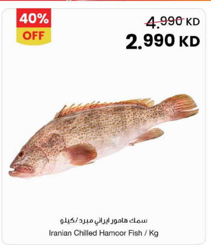 available at مركز سلطان in الكويت - محافظة الجهراء