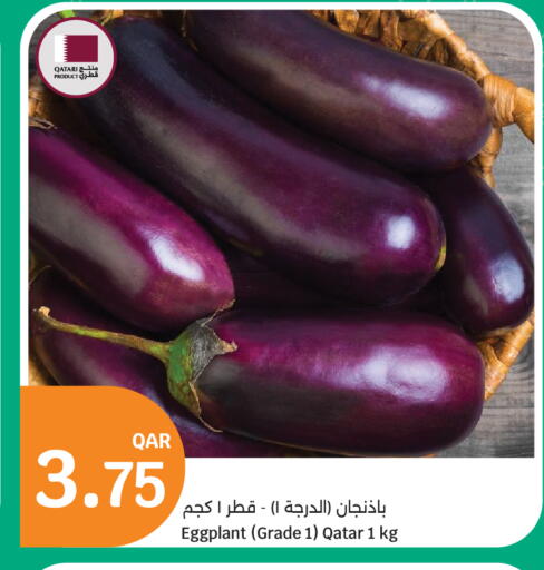 Eggplant from Qatar available at سيتي هايبرماركت in قطر - الريان