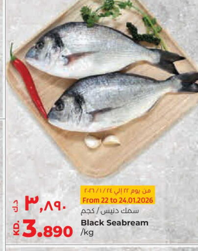 available at لولو هايبر ماركت in الكويت - مدينة الكويت