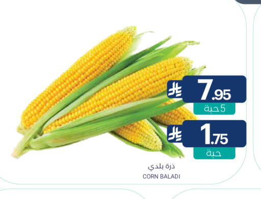 available at Muntazah Markets in KSA, Saudi Arabia, Saudi - Dammam