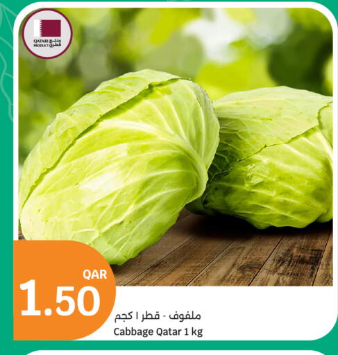 Cabbage from Qatar available at سيتي هايبرماركت in قطر - الريان