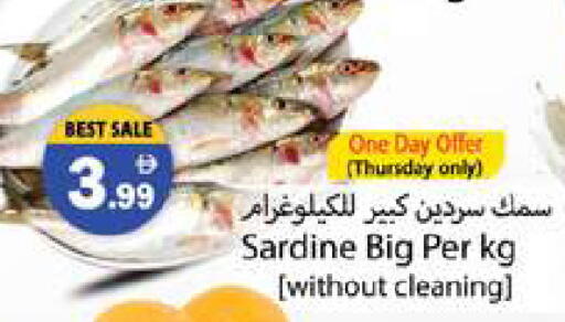 available at Zain Mart Supermarket in UAE - Ras al Khaimah
