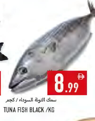 available at  روابي ماركت عجمان in الإمارات العربية المتحدة , الامارات - الشارقة / عجمان