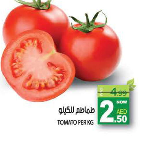 Tomato available at هاشم هايبرماركت in الإمارات العربية المتحدة , الامارات - الشارقة / عجمان