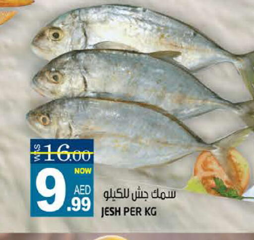 available at هاشم هايبرماركت in الإمارات العربية المتحدة , الامارات - الشارقة / عجمان