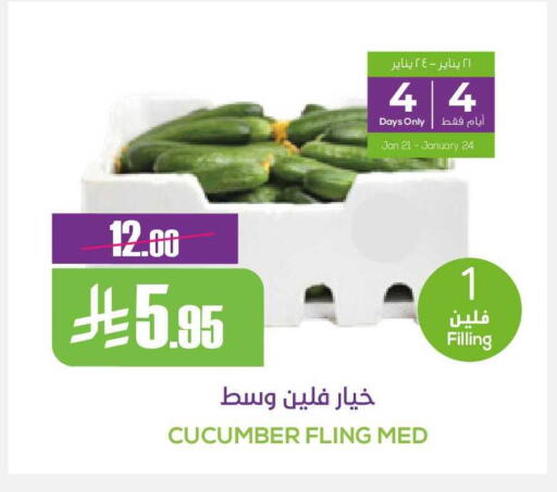 Cucumber available at سبت in مملكة العربية السعودية, السعودية, سعودية - بريدة