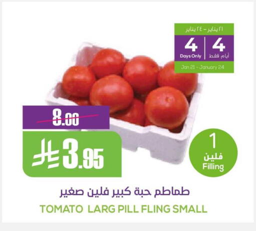 Tomato available at سبت in مملكة العربية السعودية, السعودية, سعودية - بريدة