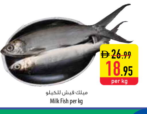 available at Safeer Market in UAE - Al Ain