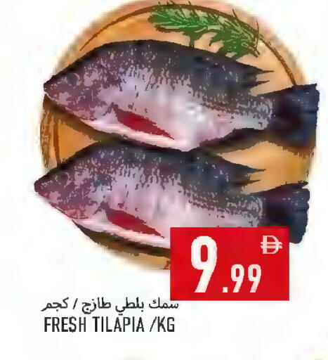 available at  روابي ماركت عجمان in الإمارات العربية المتحدة , الامارات - الشارقة / عجمان