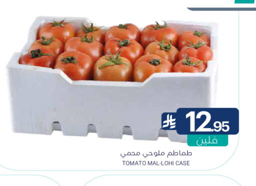 Tomato available at Muntazah Markets in KSA, Saudi Arabia, Saudi - Qatif