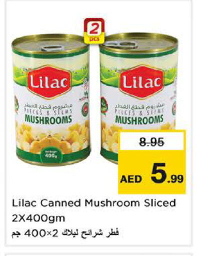Mushroom available at Nesto Hypermarket in UAE - Sharjah / Ajman