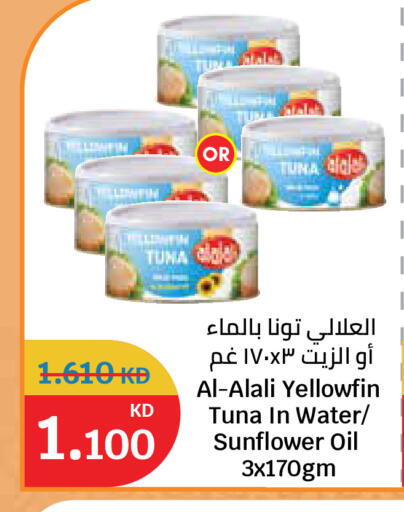 available at سيتي هايبرماركت in الكويت - محافظة الجهراء