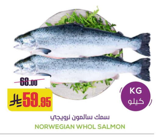 available at سبت in مملكة العربية السعودية, السعودية, سعودية - بريدة