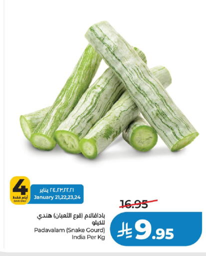 from India available at LULU Hypermarket in KSA, Saudi Arabia, Saudi - Hail