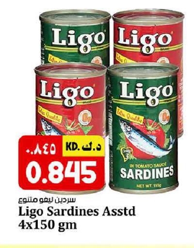 Tomato available at Kabayan HyperMarket in Kuwait - Kuwait City