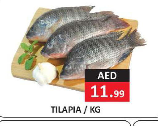 available at  RIVIERA SUPERMARKET L.L.C in UAE - Abu Dhabi