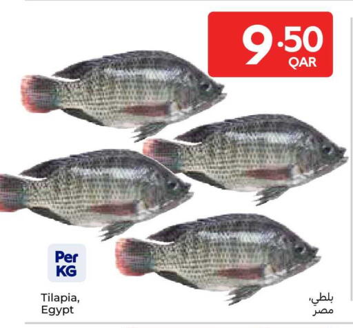 available at كارفور in قطر - الوكرة