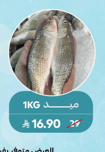 available at Mazaya in KSA, Saudi Arabia, Saudi - Qatif