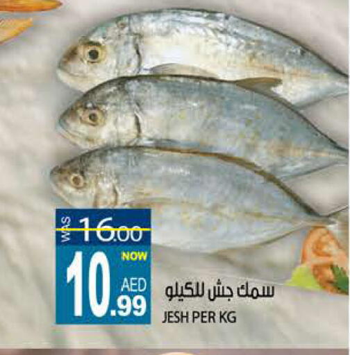 available at هاشم هايبرماركت in الإمارات العربية المتحدة , الامارات - الشارقة / عجمان
