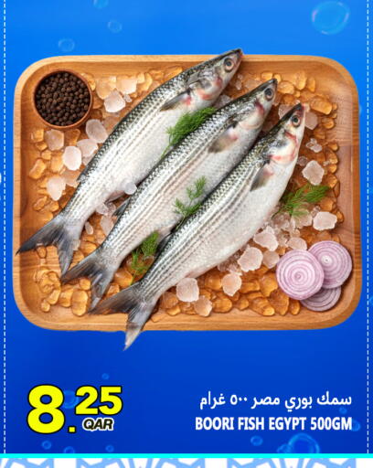 available at قصر الأغذية هايبرماركت in قطر - الدوحة