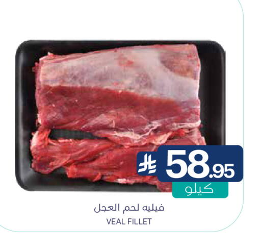 available at Muntazah Markets in KSA, Saudi Arabia, Saudi - Dammam