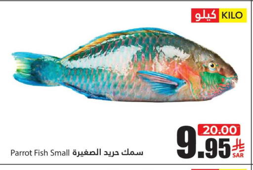 available at أسواق الأندلس الحرازات in مملكة العربية السعودية, السعودية, سعودية - جدة