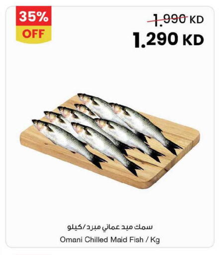 available at مركز سلطان in الكويت - محافظة الجهراء