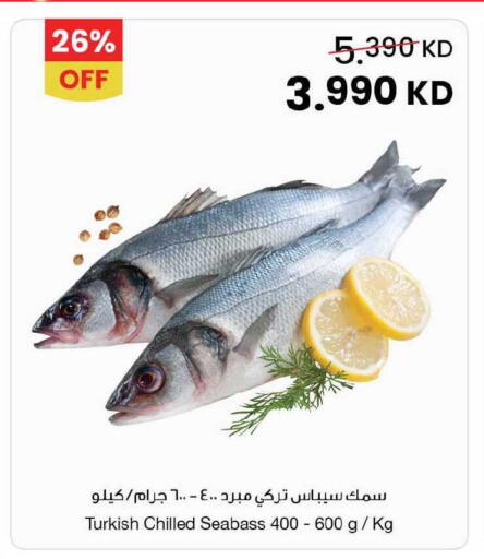 available at مركز سلطان in الكويت - محافظة الجهراء