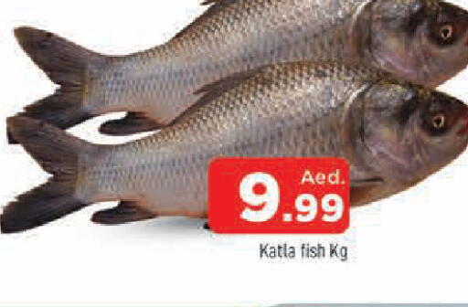 available at AL MADINA in UAE - Sharjah / Ajman