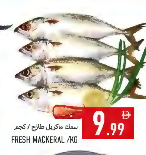 available at  روابي ماركت عجمان in الإمارات العربية المتحدة , الامارات - الشارقة / عجمان