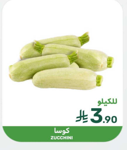 Zucchini available at  مـزايــا in مملكة العربية السعودية, السعودية, سعودية - سيهات