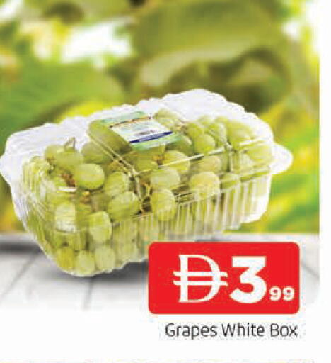 Grapes available at المدينة in الإمارات العربية المتحدة , الامارات - الشارقة / عجمان