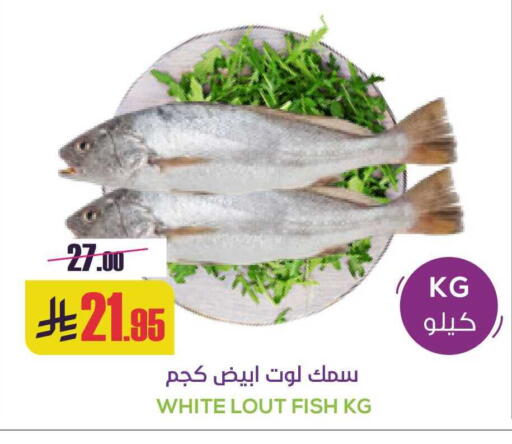available at سبت in مملكة العربية السعودية, السعودية, سعودية - بريدة