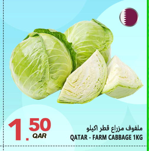 Cabbage from Qatar available at Food Palace Hypermarket in Qatar - Umm Salal