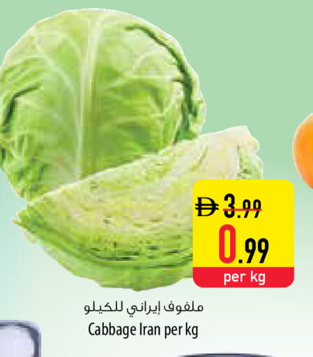 Cabbage from Iran available at Safeer Market in UAE - Umm al Quwain