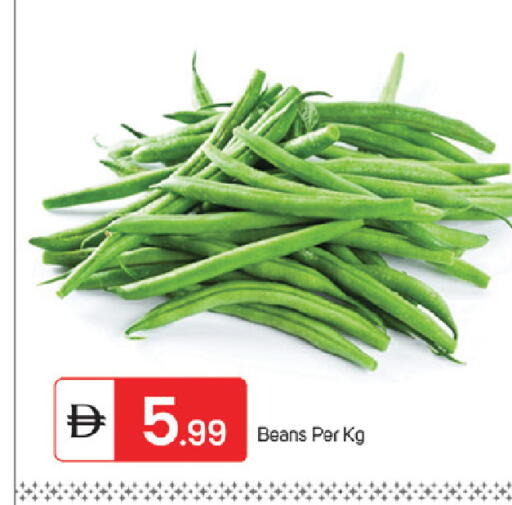 available at سوق طلال in الإمارات العربية المتحدة , الامارات - ٱلْفُجَيْرَة‎