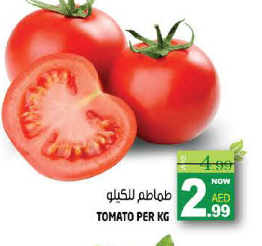 Tomato available at هاشم هايبرماركت in الإمارات العربية المتحدة , الامارات - الشارقة / عجمان