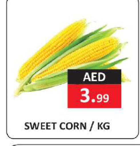 available at  RIVIERA SUPERMARKET L.L.C in الإمارات العربية المتحدة , الامارات - أبو ظبي
