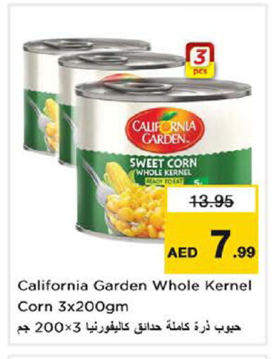 available at Nesto Hypermarket in UAE - Sharjah / Ajman