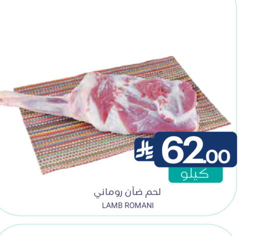 available at Muntazah Markets in KSA, Saudi Arabia, Saudi - Dammam