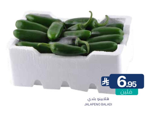 available at Muntazah Markets in KSA, Saudi Arabia, Saudi - Dammam