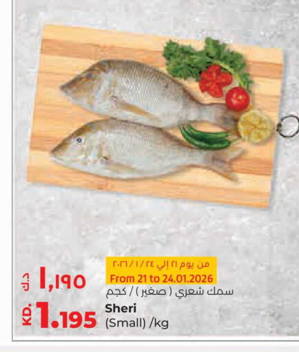 available at لولو هايبر ماركت in الكويت - مدينة الكويت