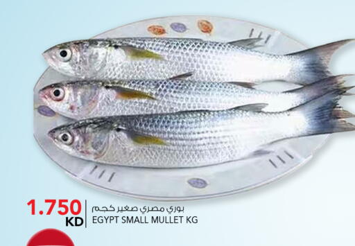 available at النصر هايبر ماركت in الكويت - مدينة الكويت