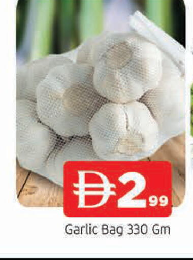 Garlic available at المدينة in الإمارات العربية المتحدة , الامارات - الشارقة / عجمان