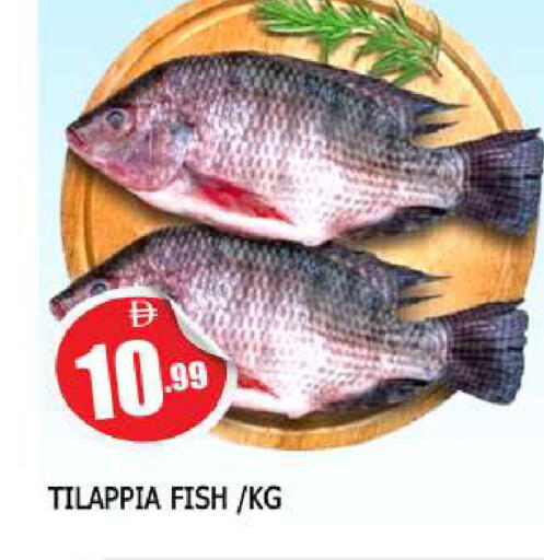 available at AL MADINA in UAE - Sharjah / Ajman